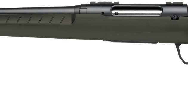 SAV AXIS 2 GREEN 223REM 22 LH