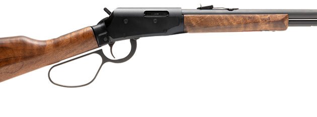 SAV REVEL CLASSIC 17HMR 18