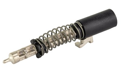 SIG P365 SLIDE COMPLETION KIT