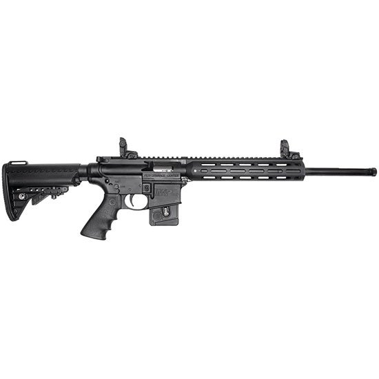 SW M&P15-22 SPORT 22LR 18 PC 10RD