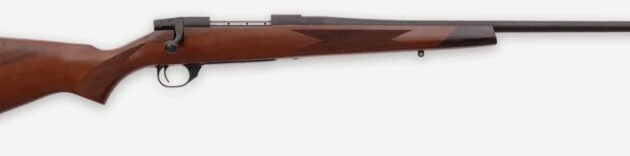WBY VANGUARD 2 243WIN 22 TB SPORTER