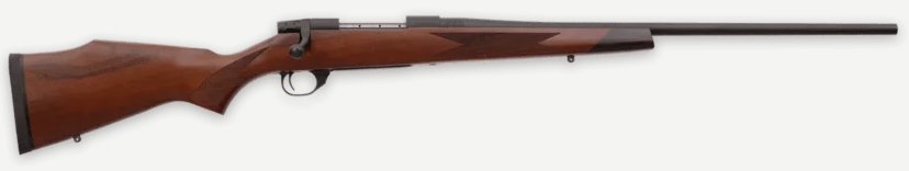 WBY20VDT256RR4T.jpg