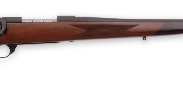 WBY VANGUARD 300WIN 24 TB SPORTER