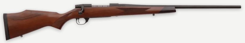 WBY20VDT300WR4T.jpg