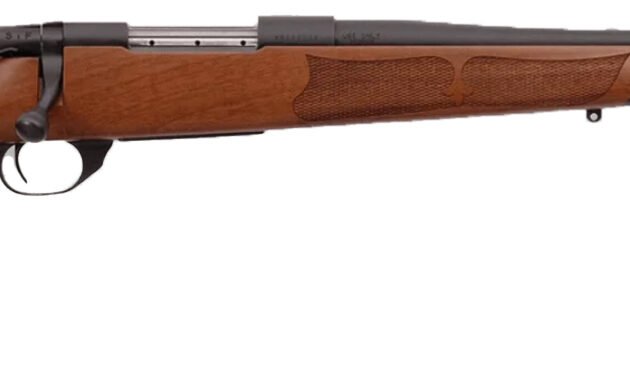 WBY VANGUARD 308WIN 20 CAMILLA SATIN A MATTE #1