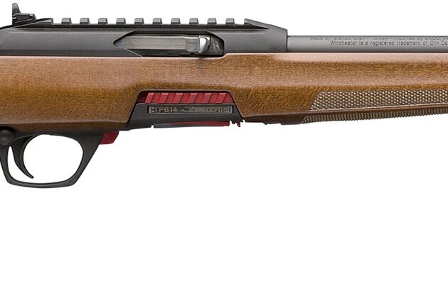 WIN WILDCAT SPORTER 22LR 18 S 10RD
