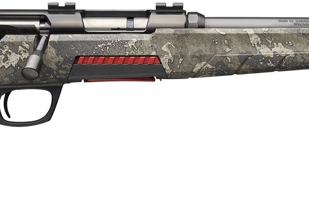 WIN XPERT STRATA 17WSM 18 8RD