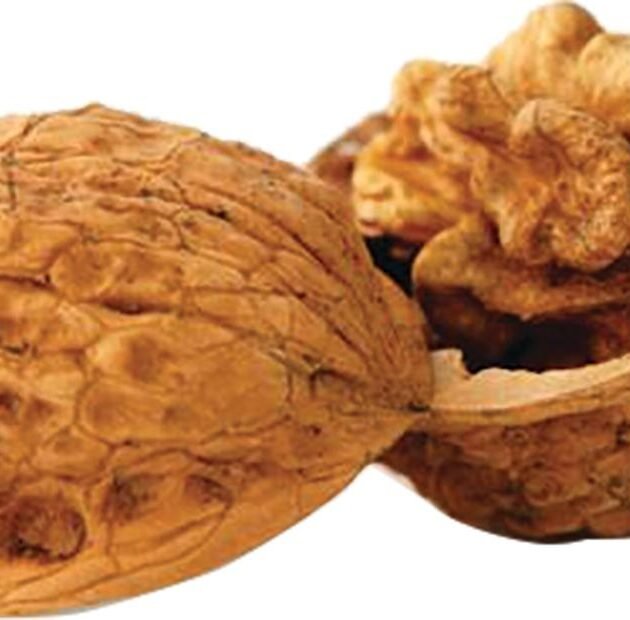 Berry's Walnut Media 8 lb. Box