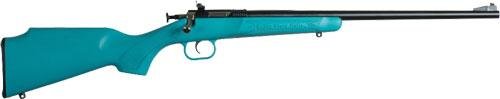 Crickett Blue Synthetic Stock Rifle .22LR Single Shot 16.125" Blued Barrel