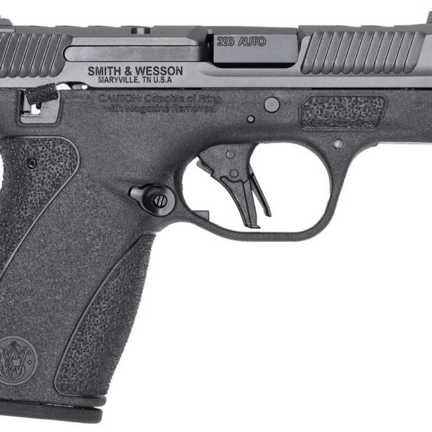 S&W PC Bodyguard 2.0 Carry Comp Handgun .380 Auto 10(1)&12(1)rd Magazines 3.1? Ported Barrel Manual Safety
