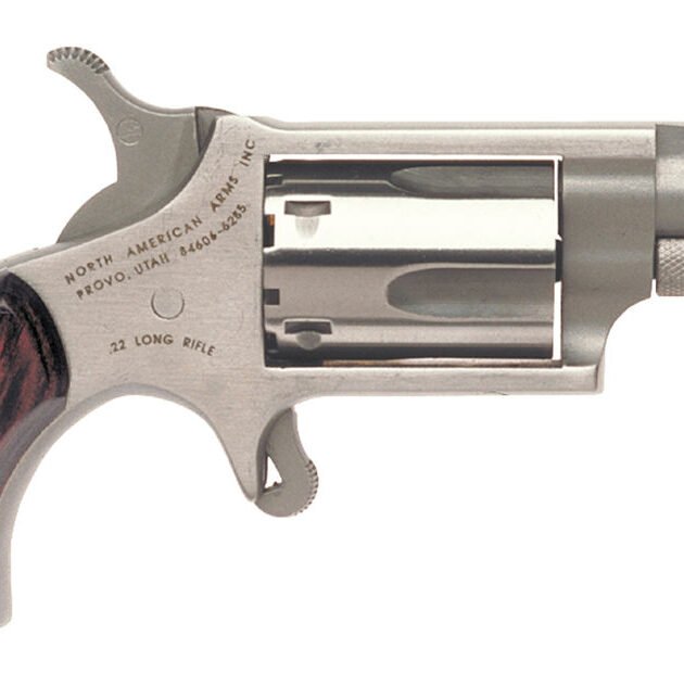 NAM MINI-REV 22LR 1.125SS MATT