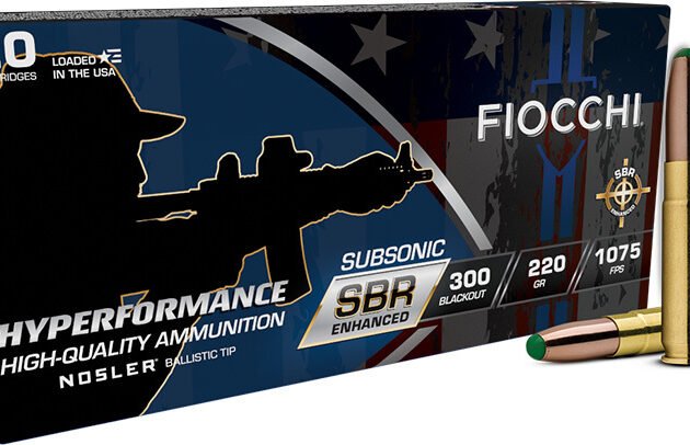 FIO 300BLK 220GR SBR BT 20RD