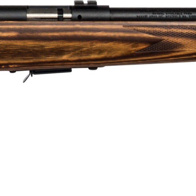 SAV 93R17-BV 17HMR B