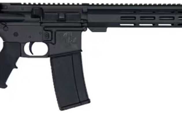 GLF GL15 300BLK RFL 16B 30 BLK