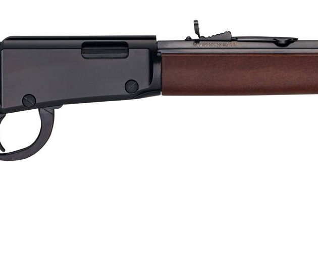 HEN FRONTIER LVR 17HMR