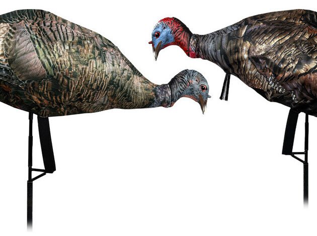 MONTANA DECOY TKY PURR-FECT PAIR XD3 COMBO