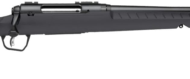 SAV AXIS 2 GRAY 22-250REM 22