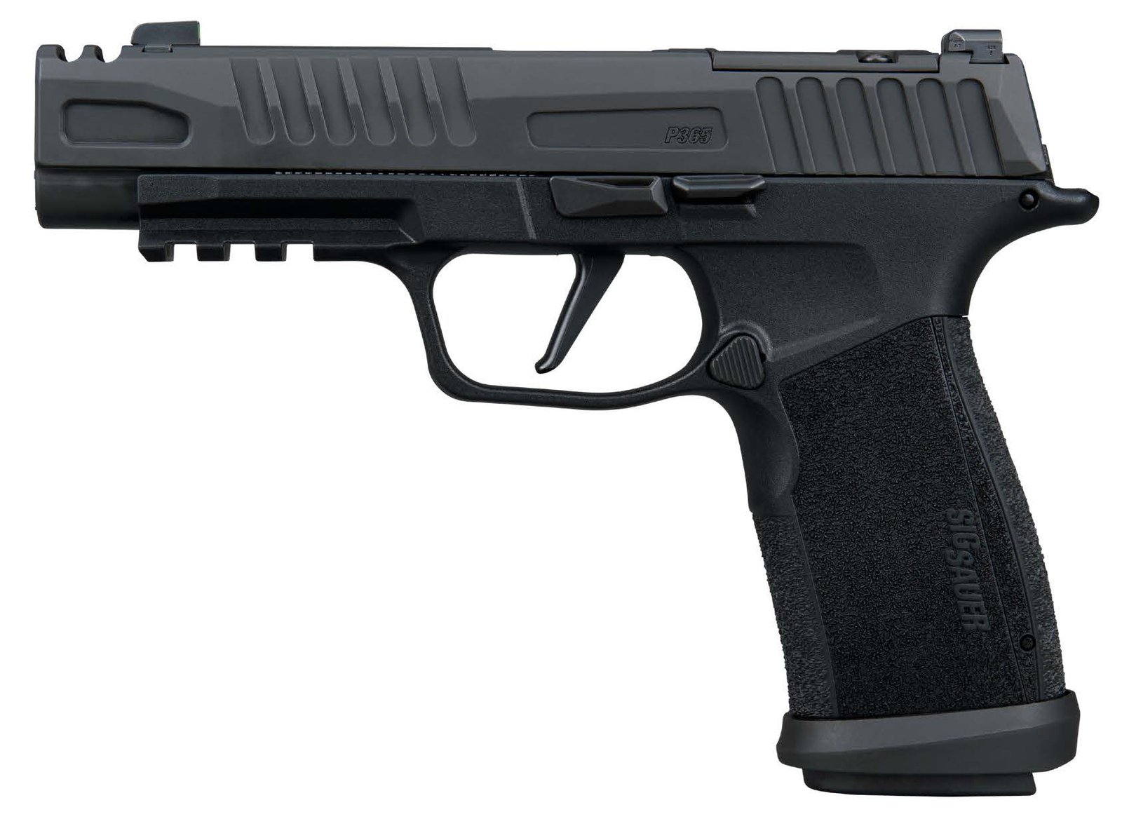 SIG20365XF9COMP.jpg