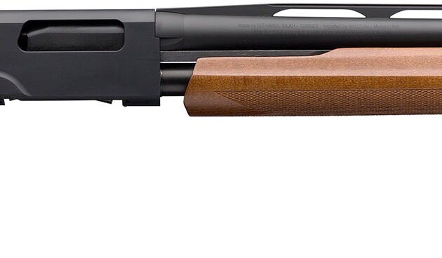 WIN SXP FIELD COMPACT 20GA 28 WOOD 13 LOP