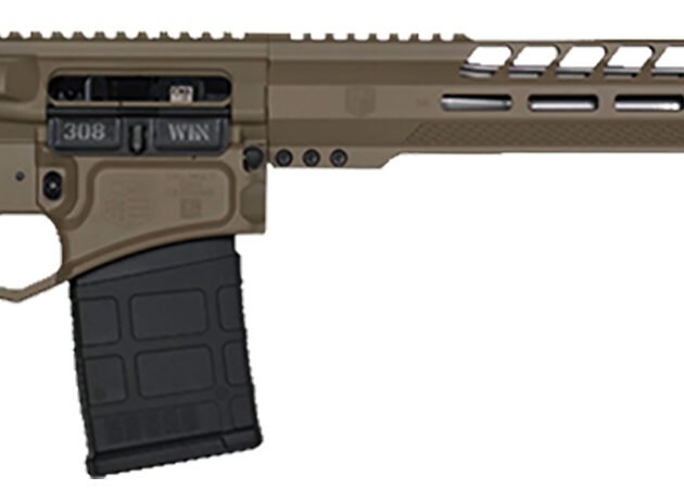 DBF DB10 BLKGLD 308 18FDE 20RD