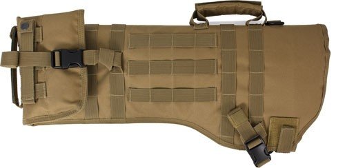 82026coy_fold_2