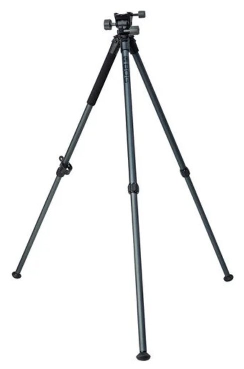 BOG201239241