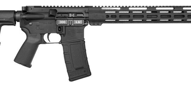 DBF DB15 300BLK 16 MLOK 15 FULL PIC RAIL 30RD