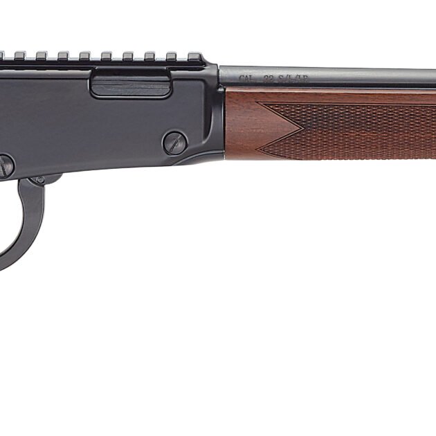 HEN BANDIT LVR 22WMR