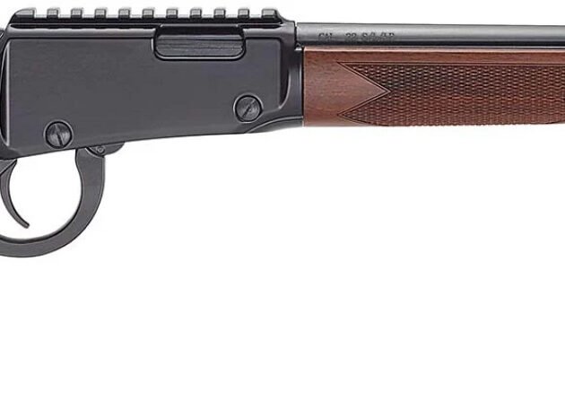 HENRY H1 BANDIT 22LR 18.5