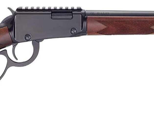 HENRY H1 SPORTER 22MAG 18.5 12RD