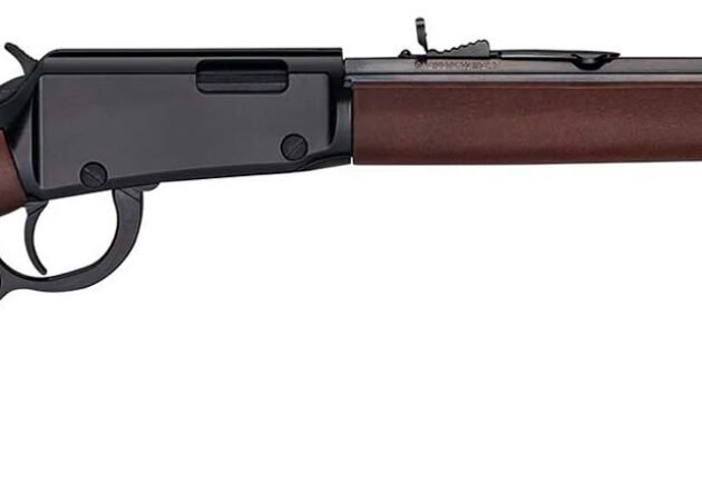 HENRY H1 FRONTIER 22MAG 20 13RD