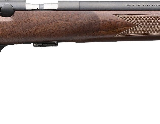 BRN T-BOLT TRGT SR 17HMR TB