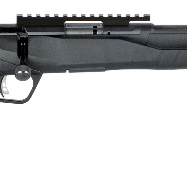 SAV B22FV-SR BA RFL 22LR 10RD