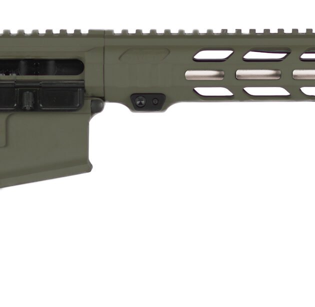 APF DMR 2.0 204RUG ODG 18 MLOK PRS LITE