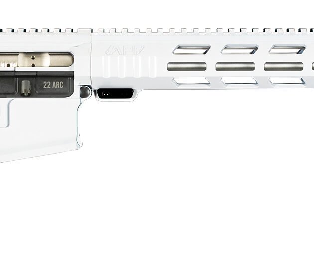 APF VARMINT 2.0 204RUG WHITE 22 MLOK PRS