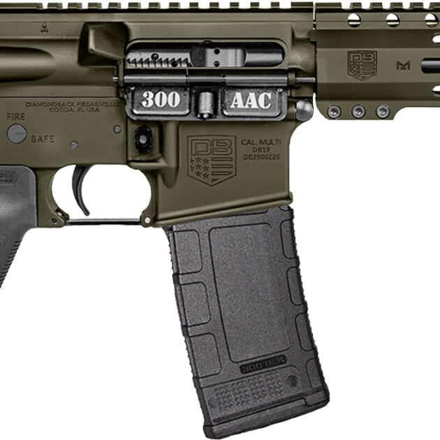 DBF DB15 300BLK PST 10ODG 30RD