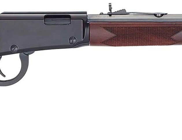 HENRY H1 WESTERN FRONTIER 22LR 20