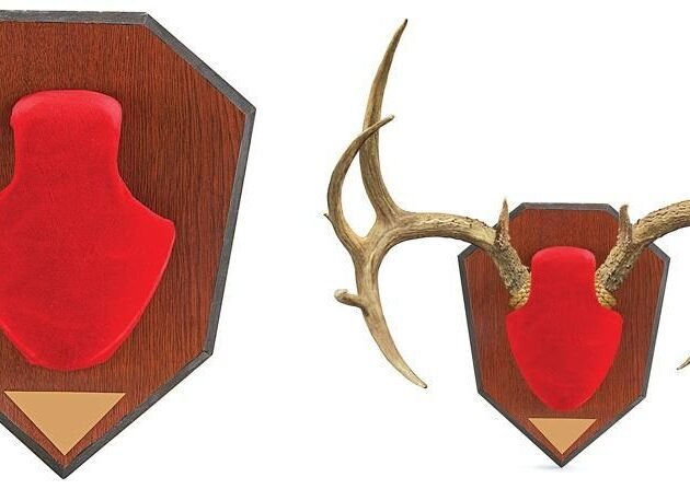 Allen Antler Mounting Kit - Red Skull