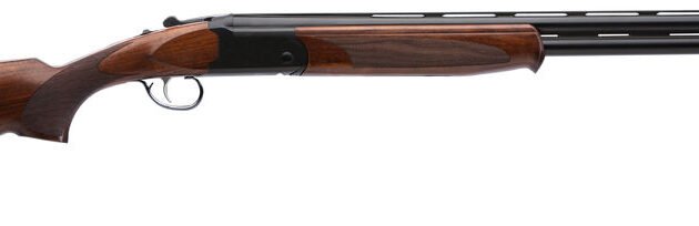 SAV STV 555 CMPT 20M/24MC OU