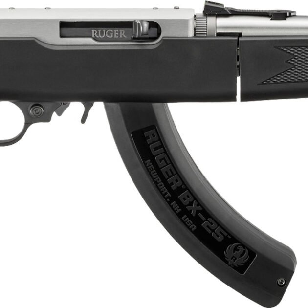 RUG 10/22-TD 22LR SS 18TB 25R