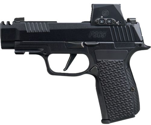 SIG P365 AXG LUXE 380ACP 3.1" - 2-PORT W/ROMEO-X (3)12RD BLACK