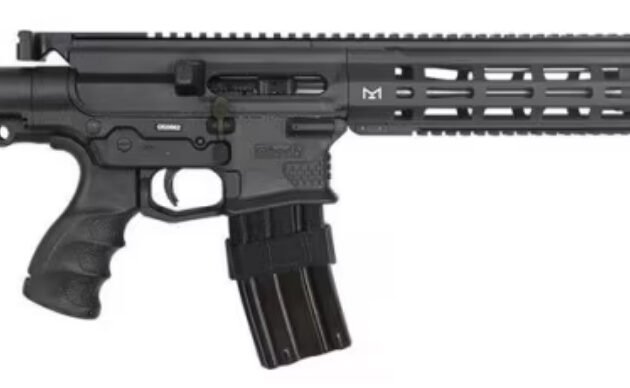 SILVER SHADOW GILBOA DBR SNAKE 5.56 2 X 16