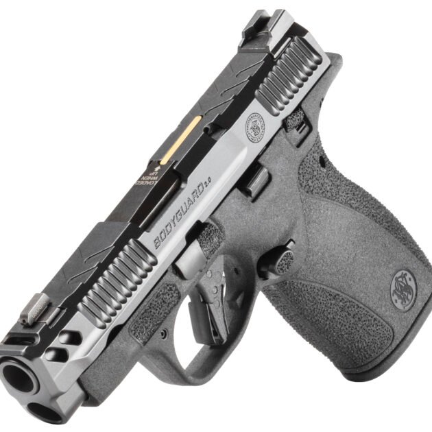 SW PC BODYGUARD 2.0 TS CARRY COMP 380ACP 3.1