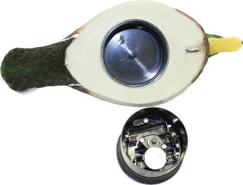 hw2443_bottom.jpg