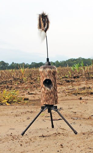 HW2508_FIELD.jpg