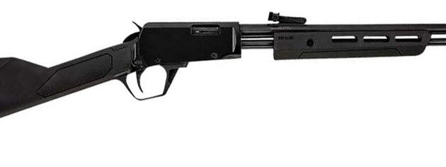 ROSSI GALLERY 22MAG 20 BLUED BLK SYNTHETIC 12RD