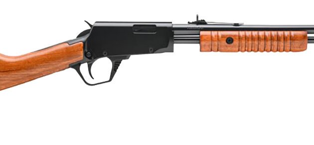 BRZ ROSSI GALLERY 22LR RFL WD
