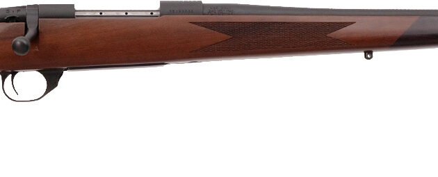WBY VGD S2 SPRT BA 308 22TB