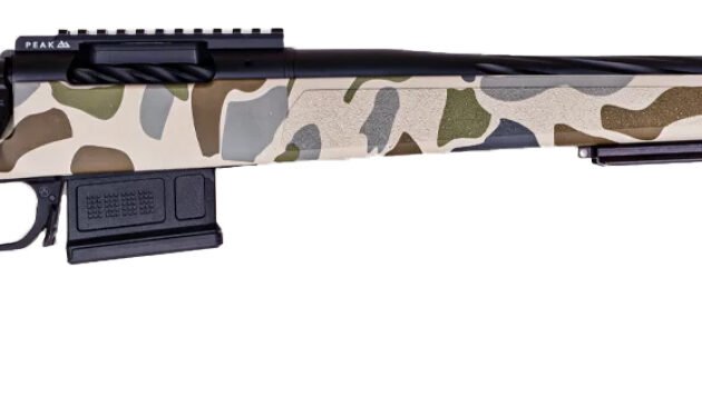 WBY 307 HUSH 25CREED 22 BRAKE