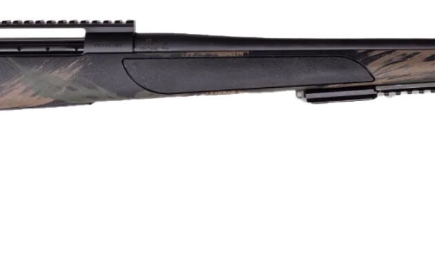 WBY VANGUARD BLACK HILLS 243WIN 22 BRAKE